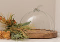 Glass pumpkin cloche ornament for autumn home decor